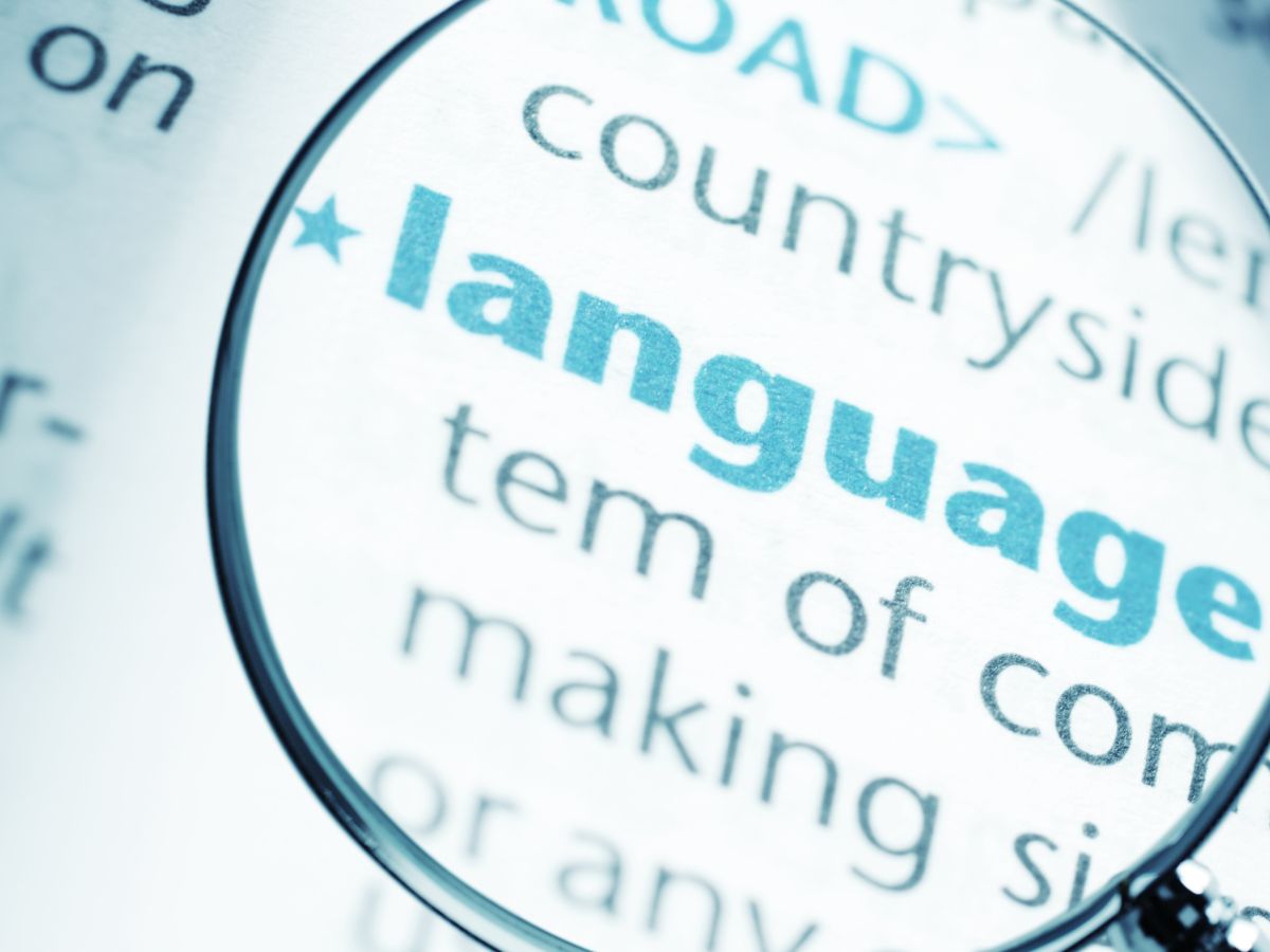 Desaparicion idiomas minoritarios